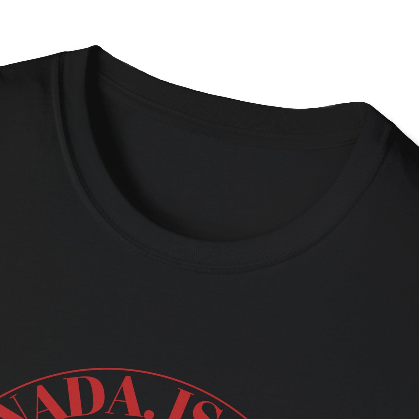 Freedom Is Its Nationality Unisex Softstyle T-Shirt - Canada Pride Tee